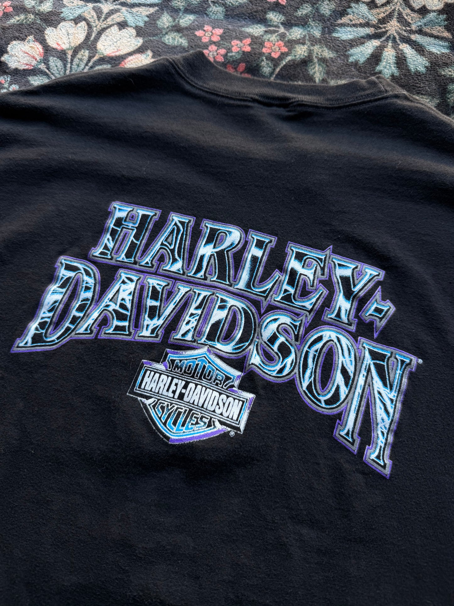 Lightning Harley Davidson