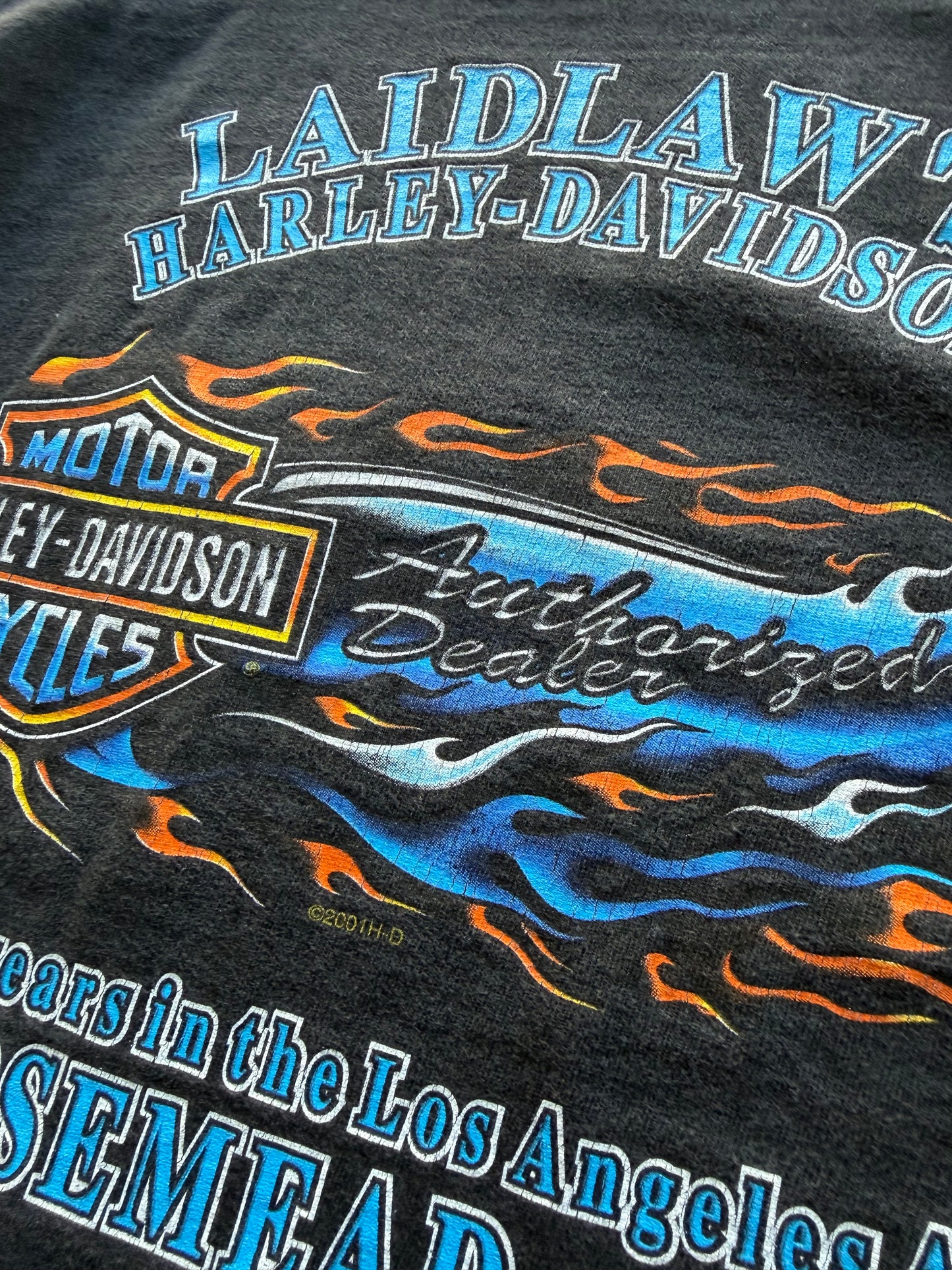 Lightning Harley Davidson