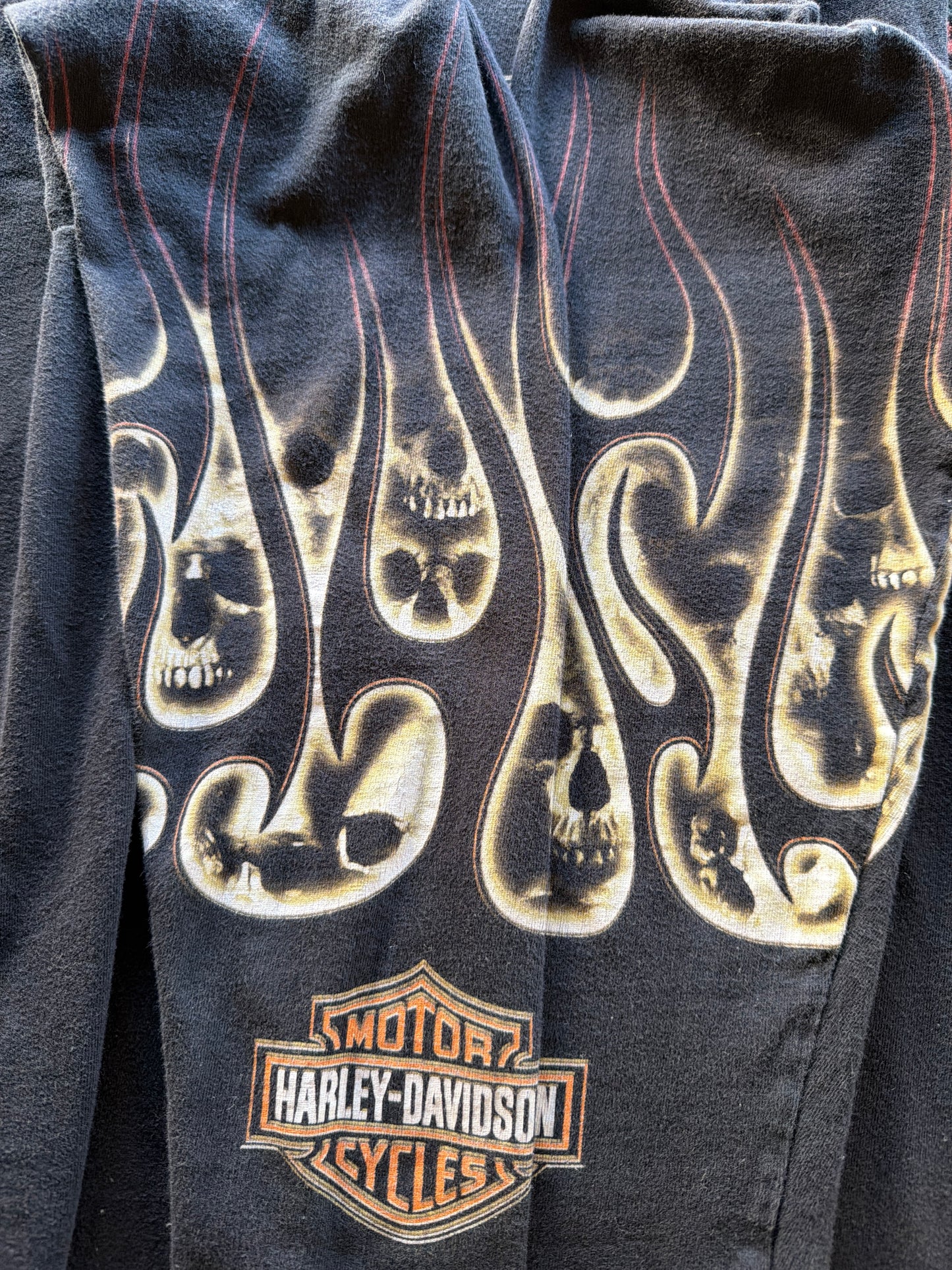 Harley Flaming Skull Long Sleeve