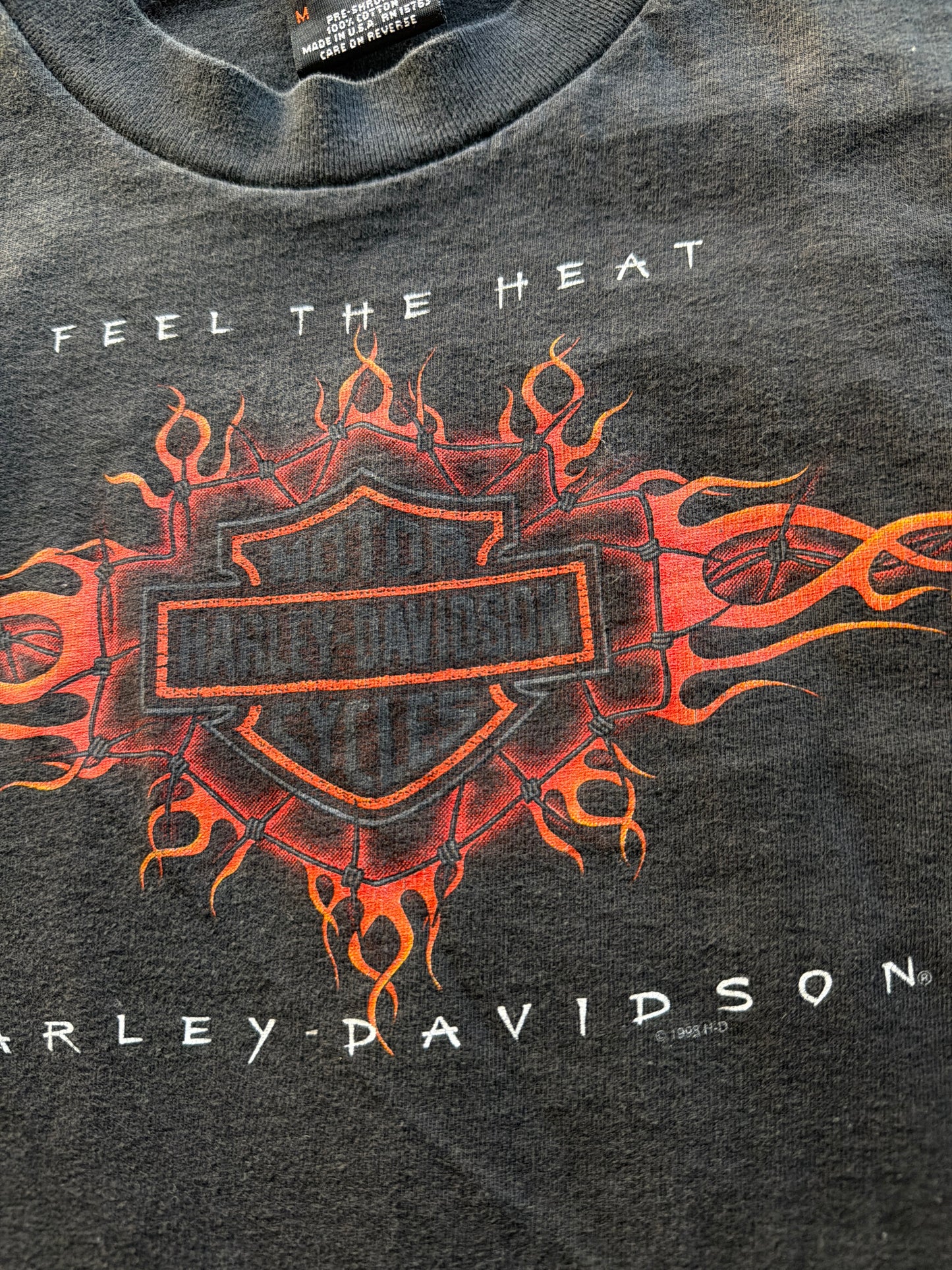 Harley Feel the Heat