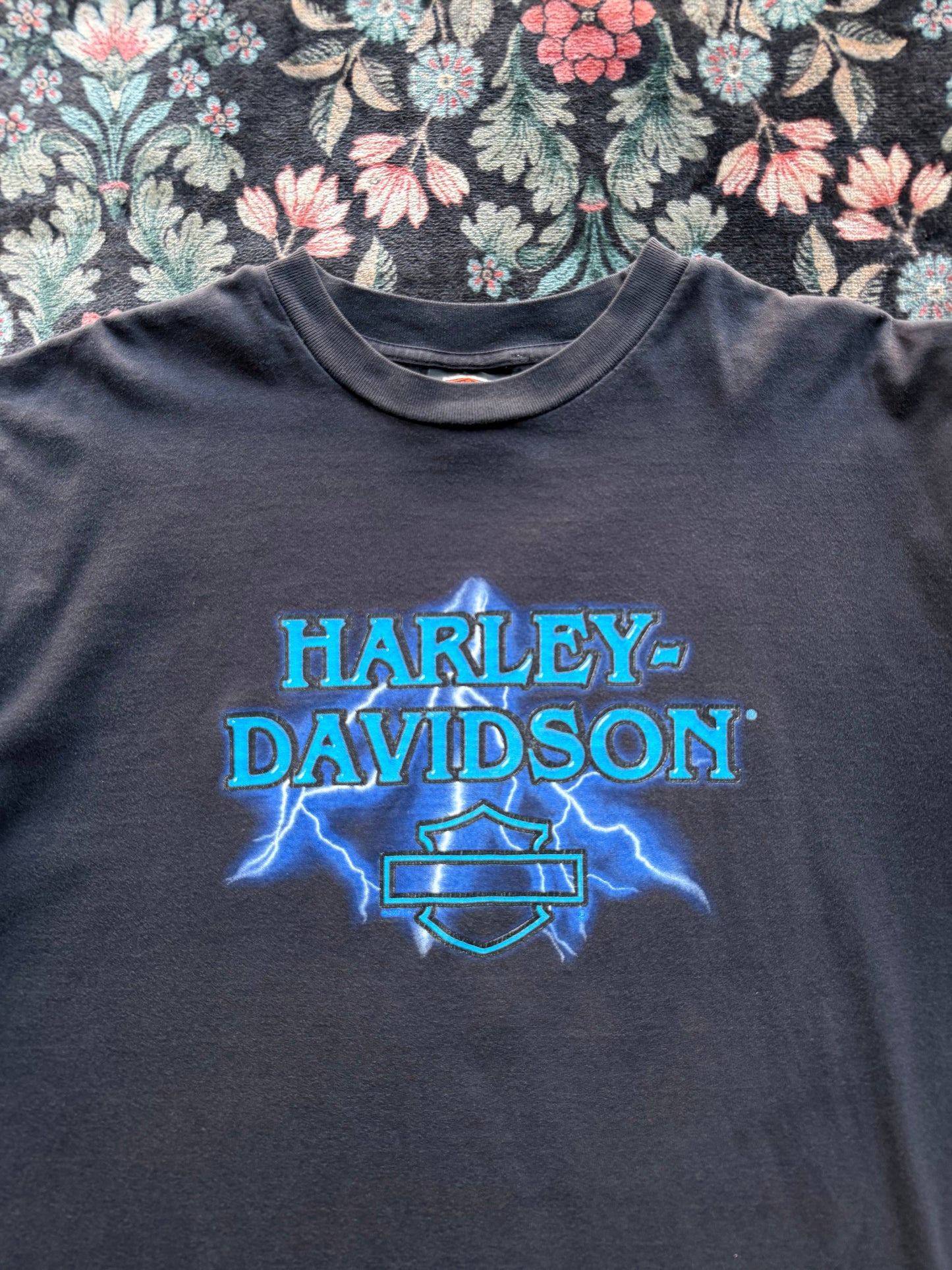 Harley Lighting Hit
