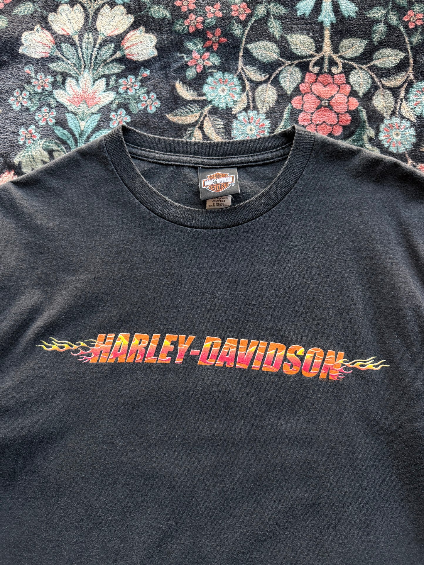Harley Red Flame