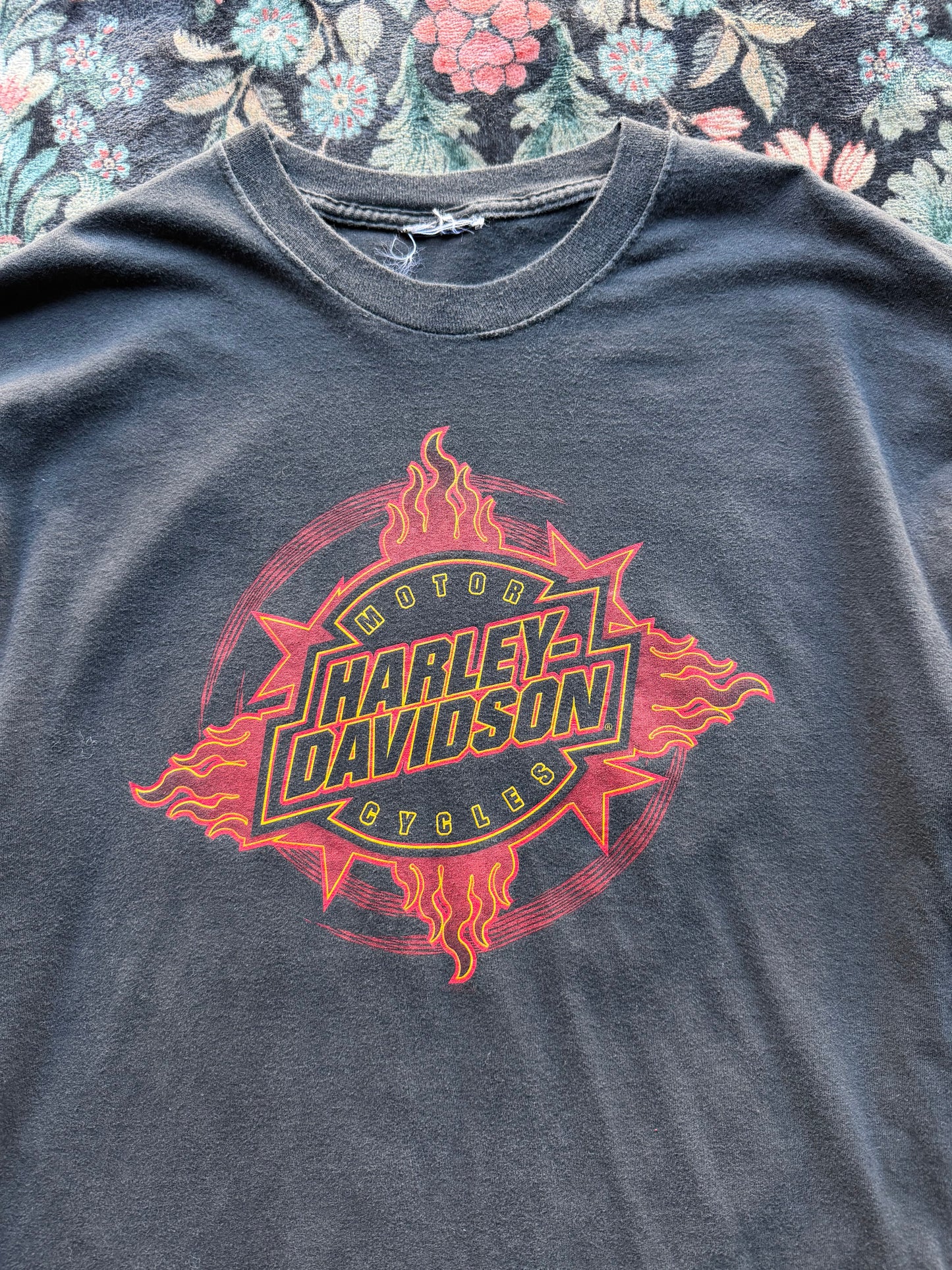 Harley Stars & Fire
