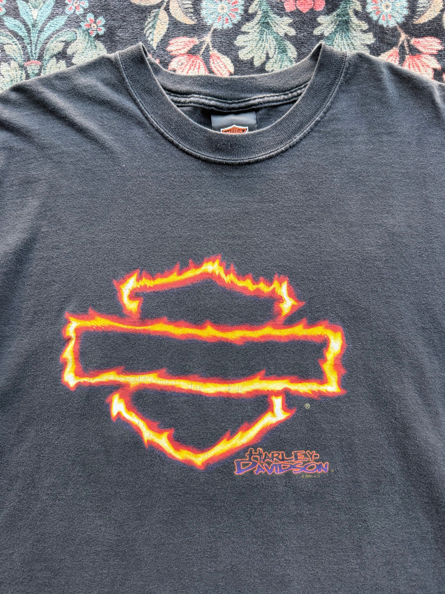 Harley Flame Shield