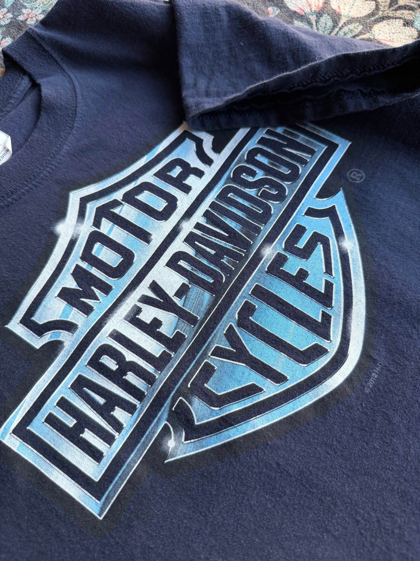 Harley Chrome Shield