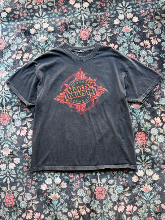 Harley Stars & Fire