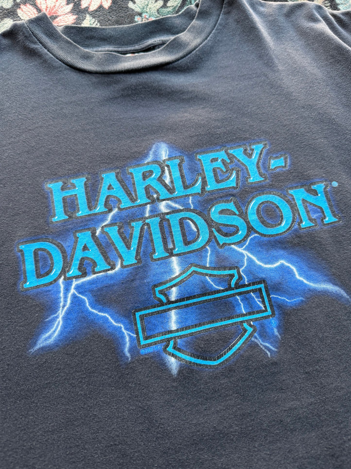 Harley Lighting Hit