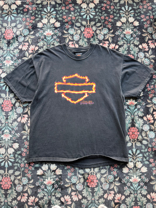 Harley Flame Shield