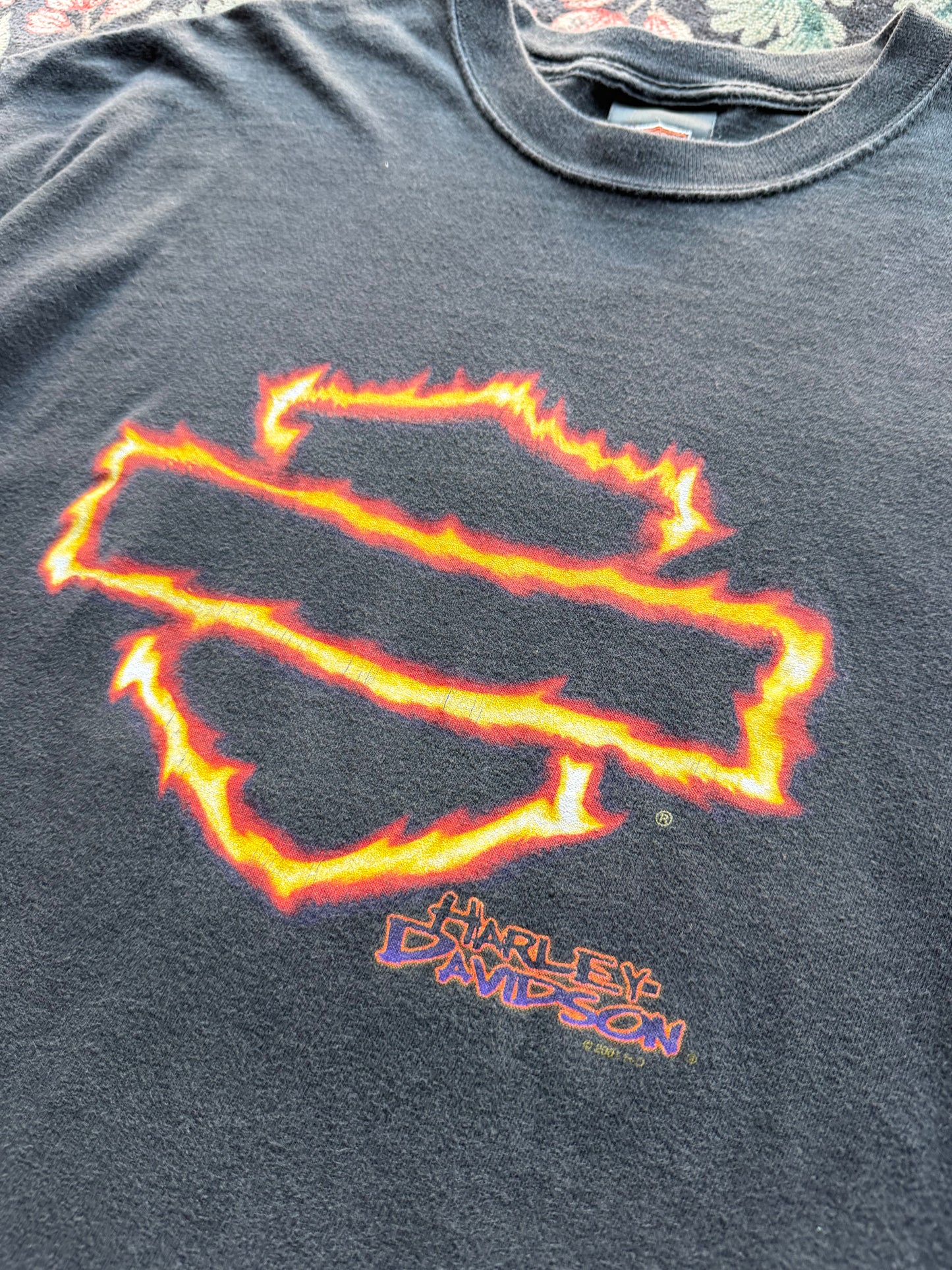 Harley Flame Shield